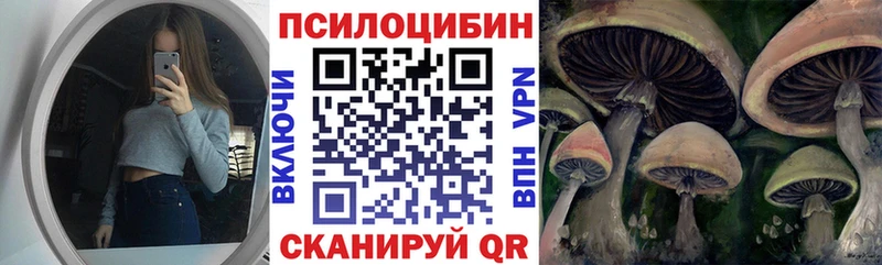 даркнет сайт  Дегтярск  Псилоцибиновые грибы MAGIC MUSHROOMS 